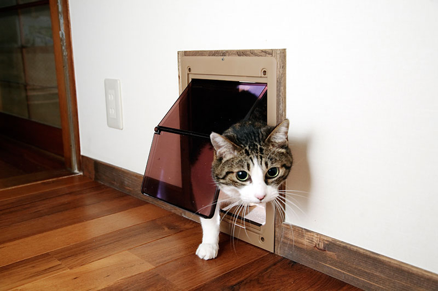 8/2(日)オンラインルームツアー開催