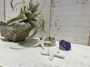 名称未設定のデザイン (4)