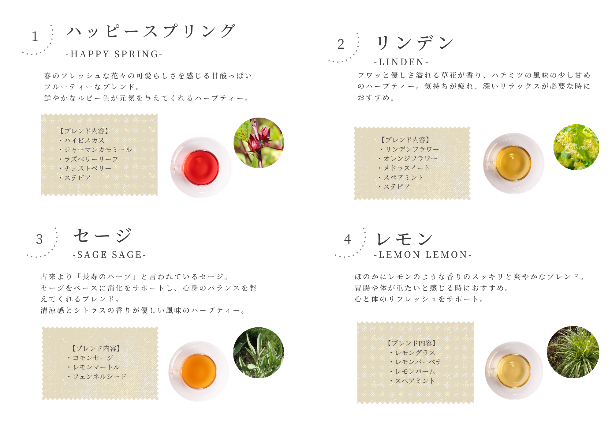 2月のハーブティー☕