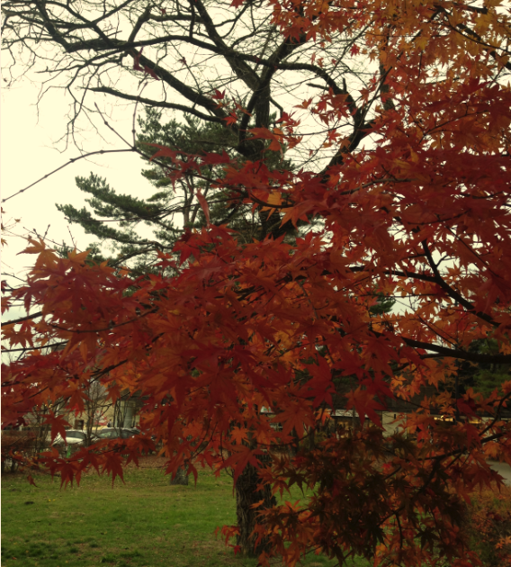 あたたかいお家　～断熱～