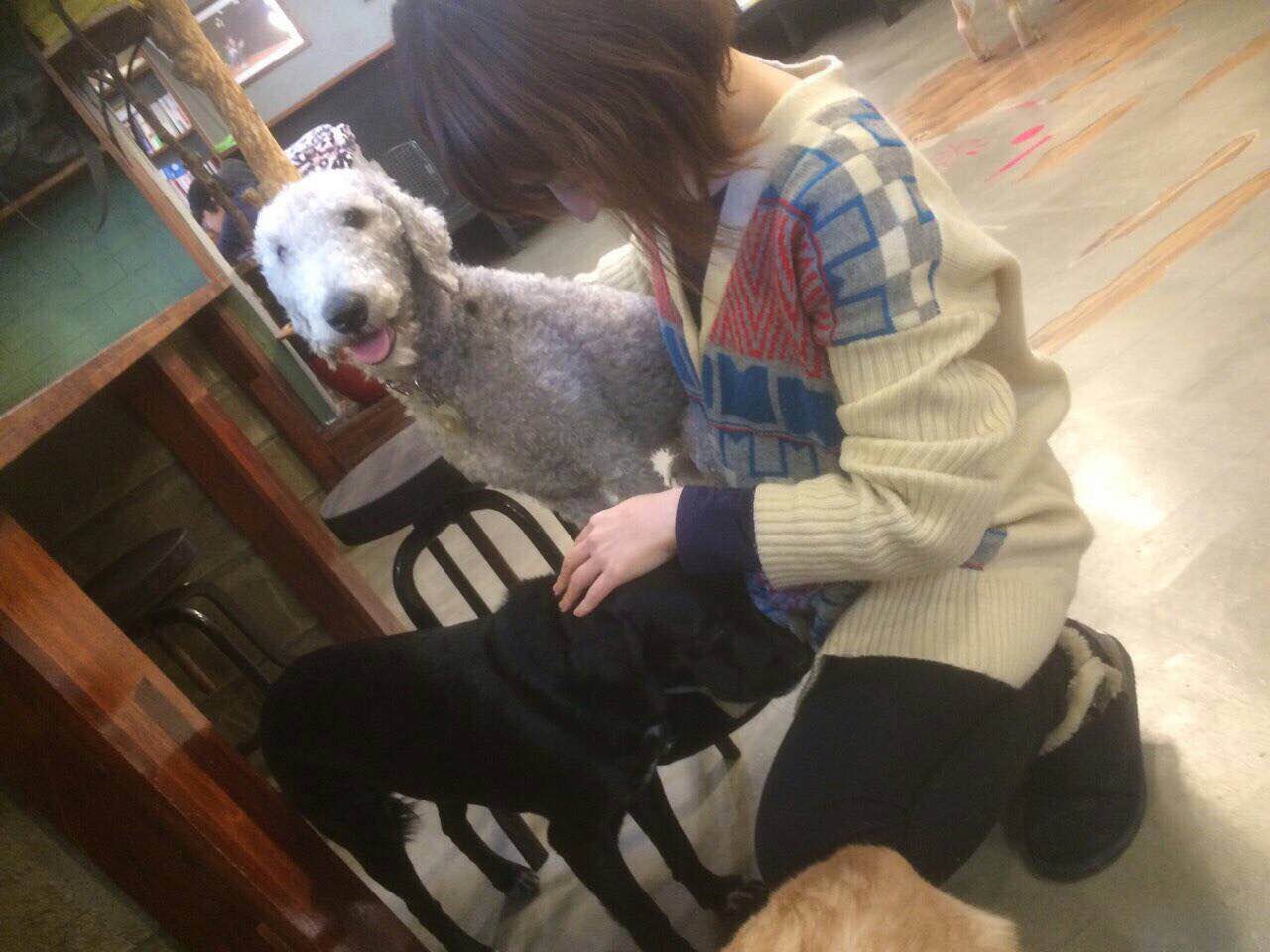 はりねずみカフェが流行ってますね。