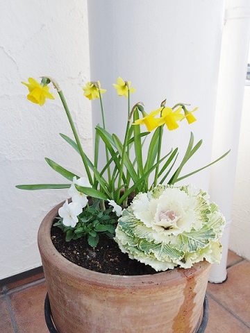 ウェルカムフラワー