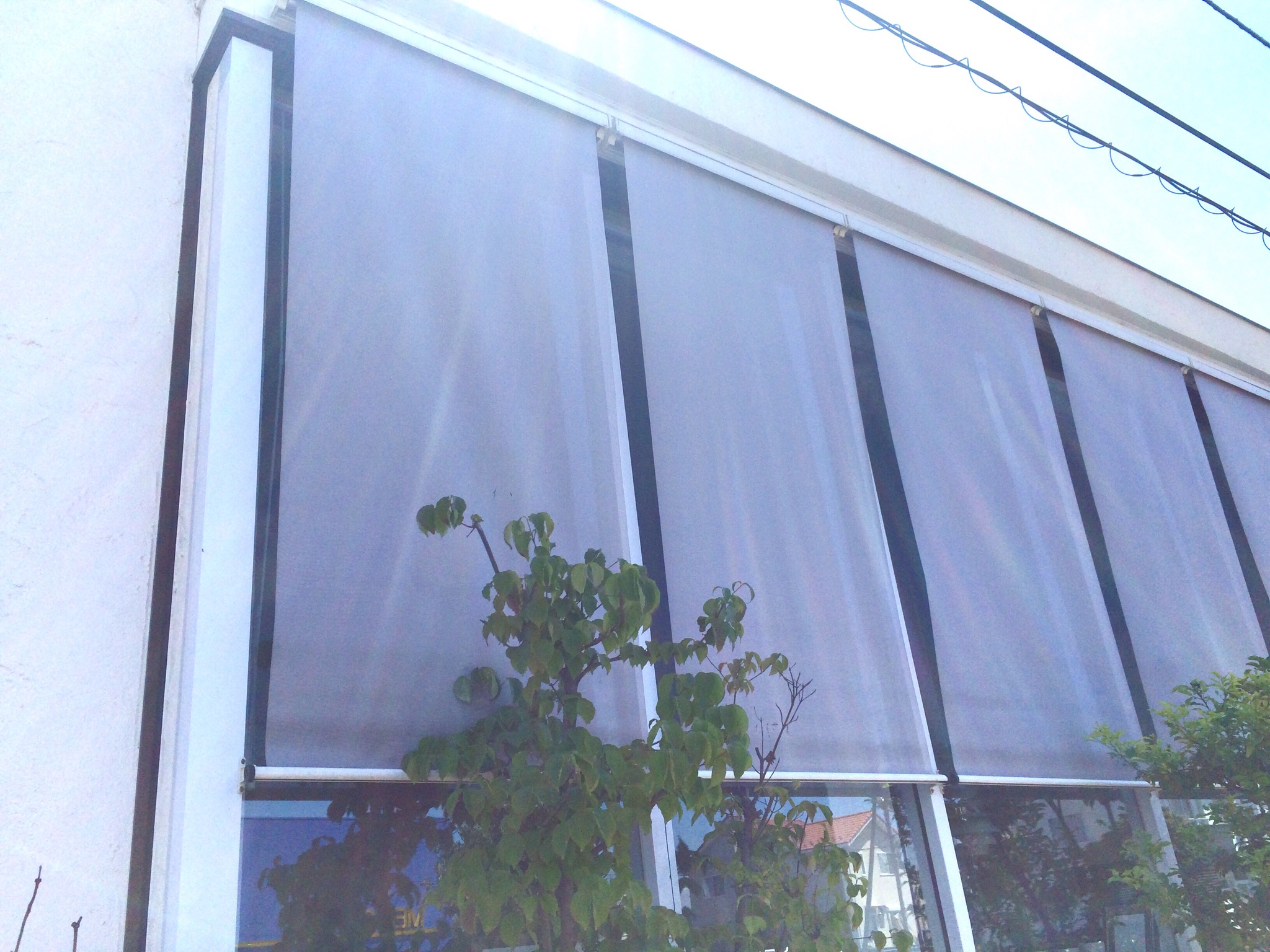 夏の日差し対策は外からがおすすめ　!!!　本日深谷まつり開催　♪