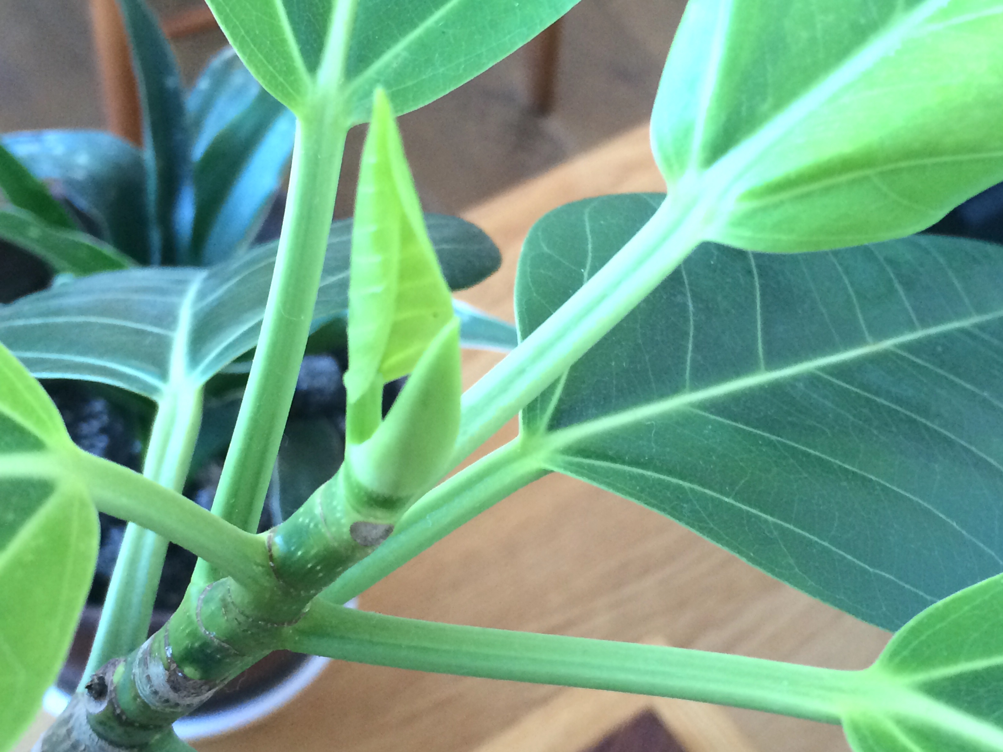 【　熊谷店　】　スタジオグリーンの角がついに…　!!!