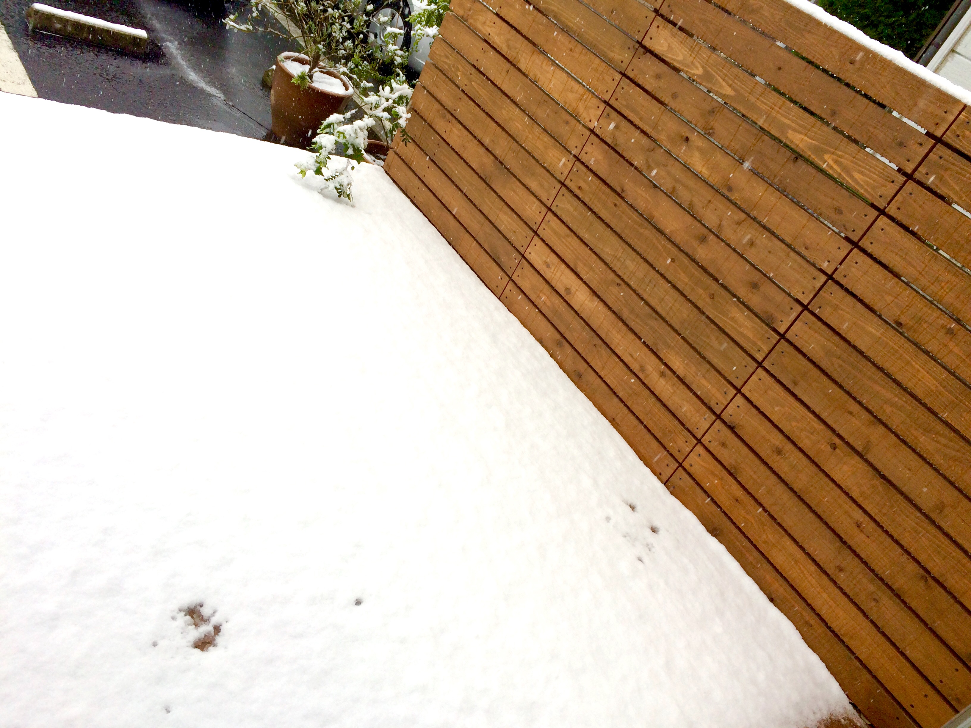 メッセージカードも冬仕様に…　♪♪♪