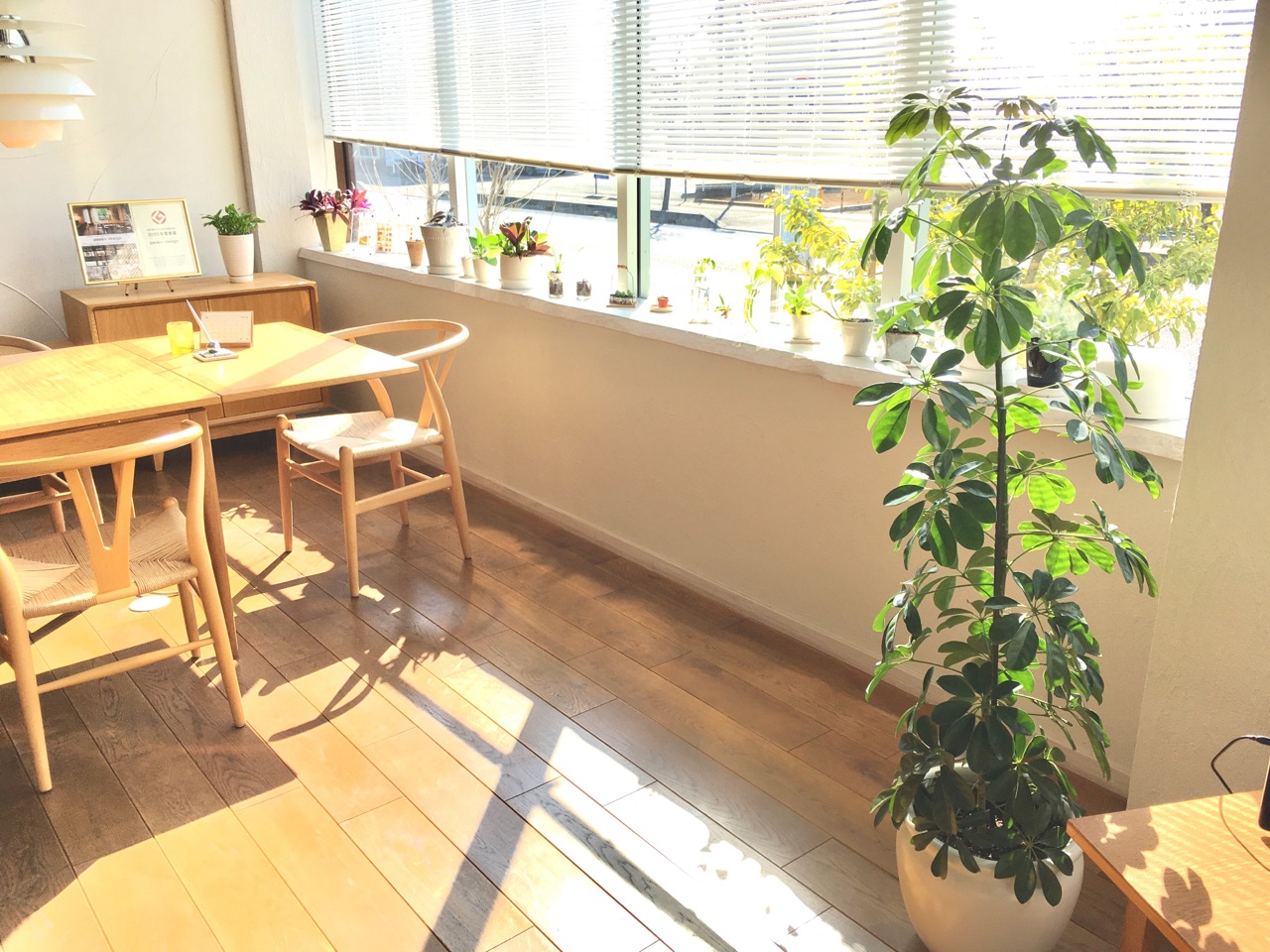 まぶしくない　!　暗くない　!　＊　スタジオブラインド「アカリナ」