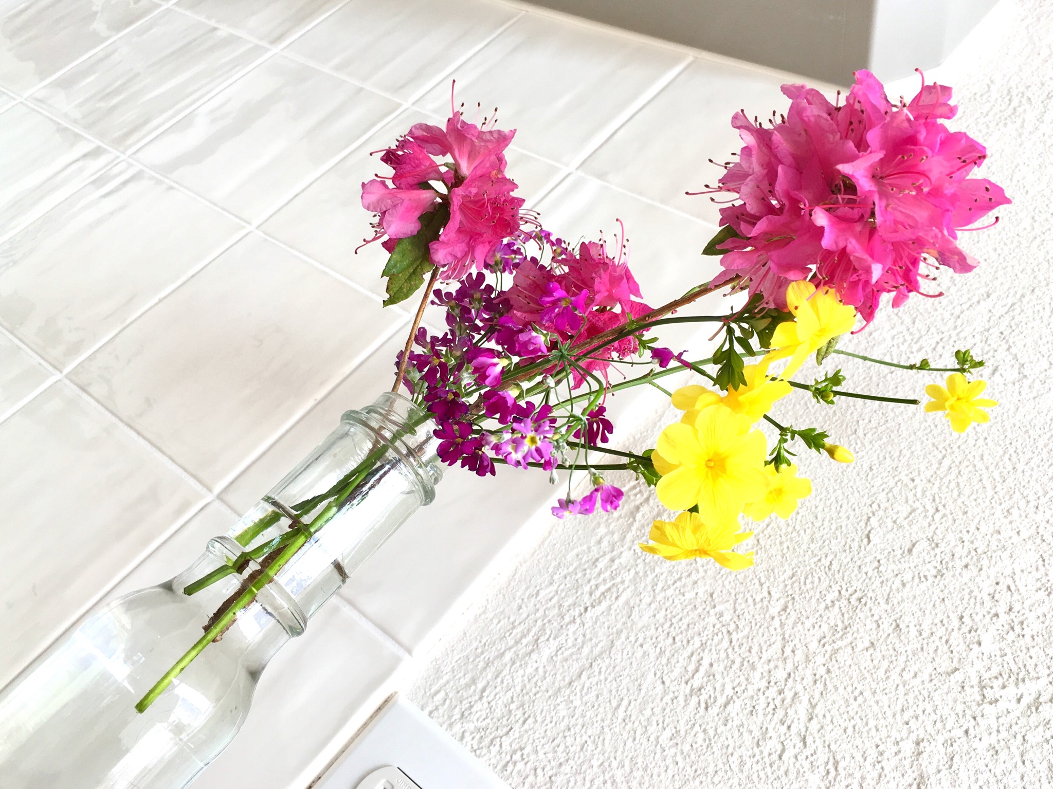 【綺麗なピンクのお花】春といえば…何色を思いつきますか？