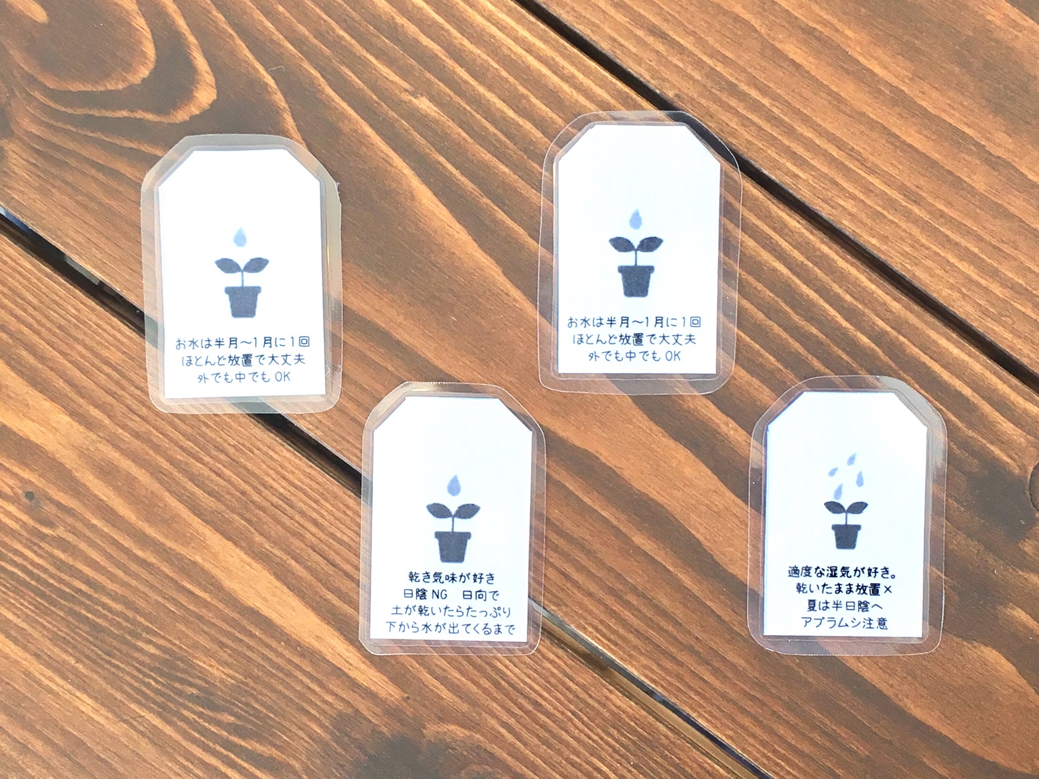 【ｽﾀｼﾞｵｸﾞﾘｰﾝ】名前も水やりも育て方も一目でわかるｸﾞﾘｰﾝのﾀｸﾞ