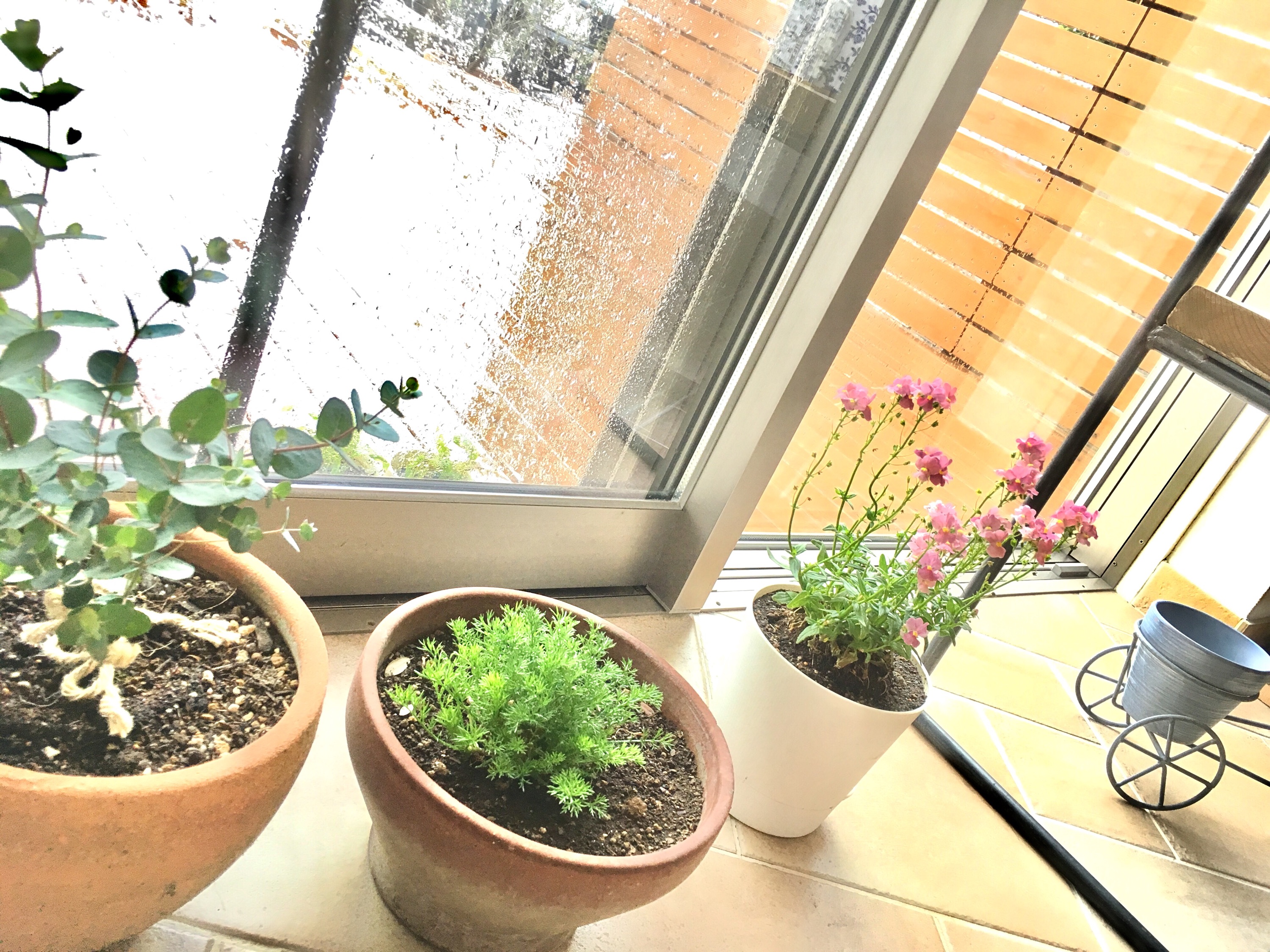 【元気な小学生達とスタジオグリーン】市内は嵐のようなお天気…