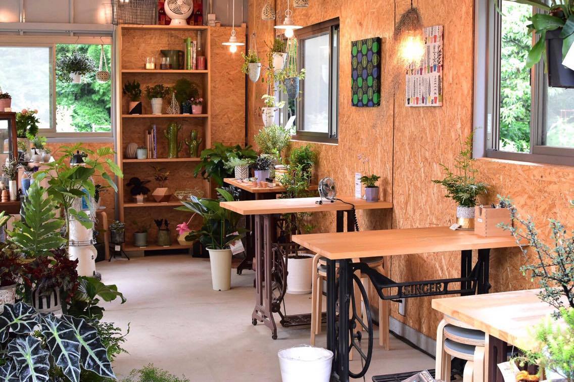 ＜ｲﾍﾞﾝﾄ予告＞7/18（火）❀多肉植物の寄せ植えﾜｰｸｼｮｯﾌﾟ開催　!!