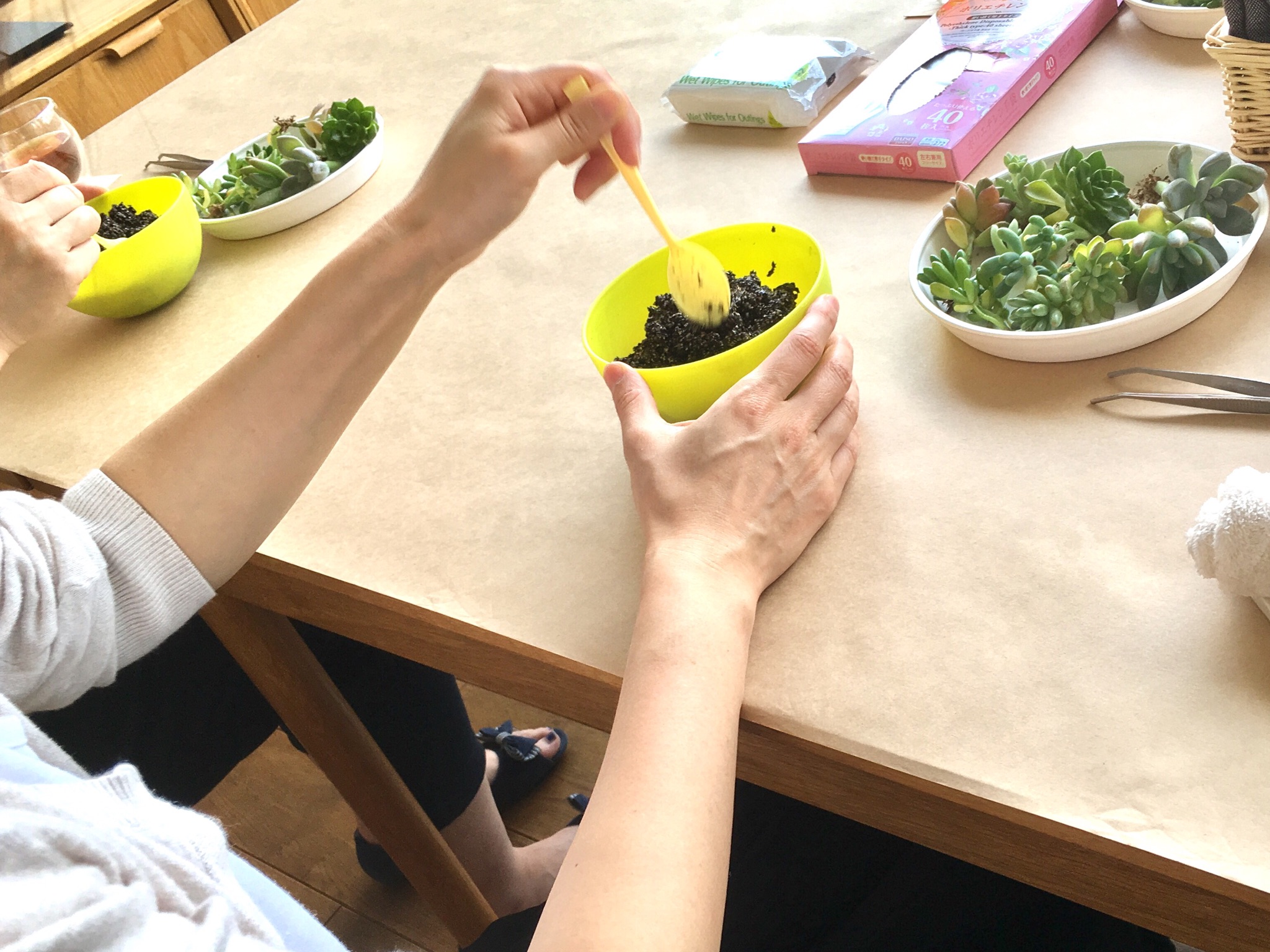 ＜7/18＊ﾜｰｸｼｮｯﾌﾟﾚﾎﾟｰﾄ＞多肉植物の寄せ植え-TANIKU×NELSOL-By MIMONO