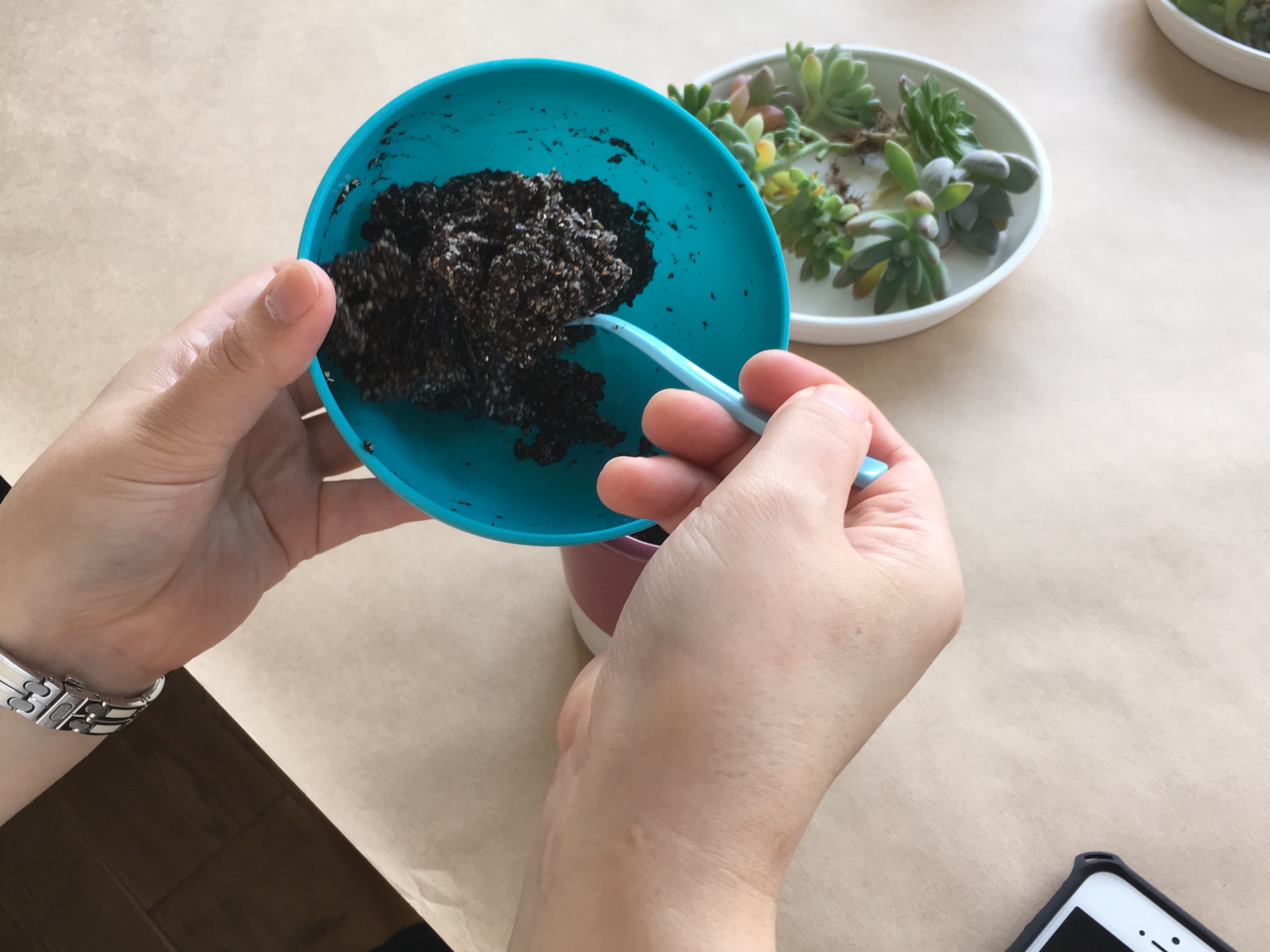 ＜7/18＊ﾜｰｸｼｮｯﾌﾟﾚﾎﾟｰﾄ＞多肉植物の寄せ植え-TANIKU×NELSOL-By MIMONO②