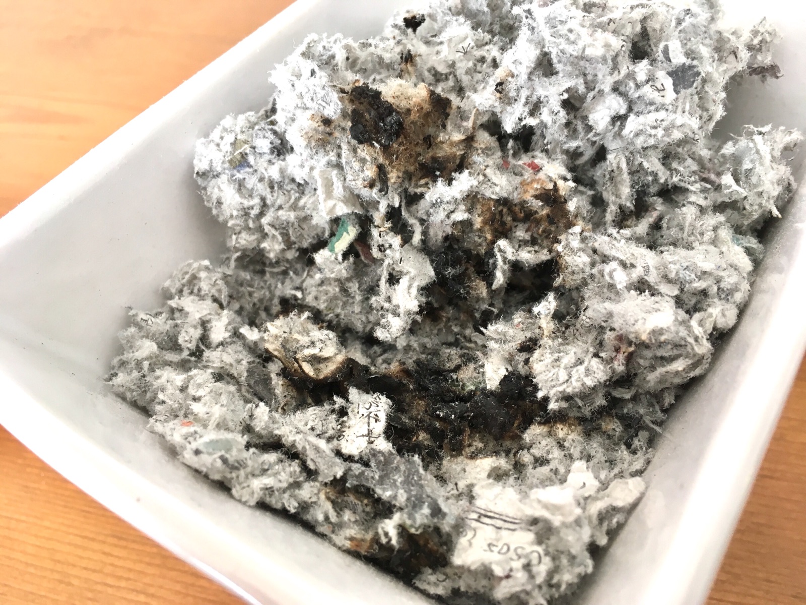 【モコモコの正体は！？】断熱材の王様とお手軽断熱「インナーサッシ」