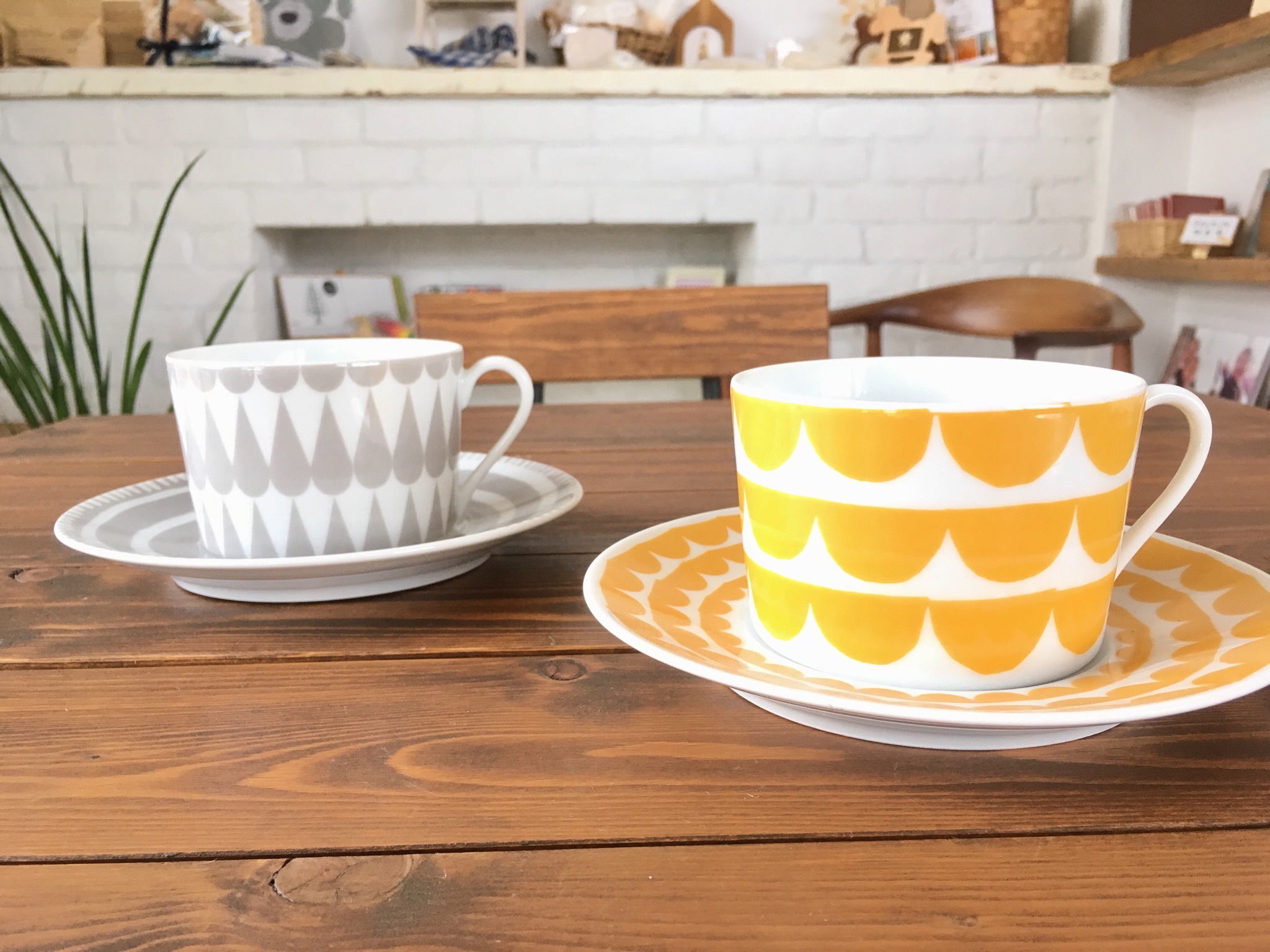 ＜ｽﾀｼﾞｵ＊ｸﾞﾘｰﾝ＞隅っこｻﾝｽﾍﾞﾘｱ＊水栽培から植替えました