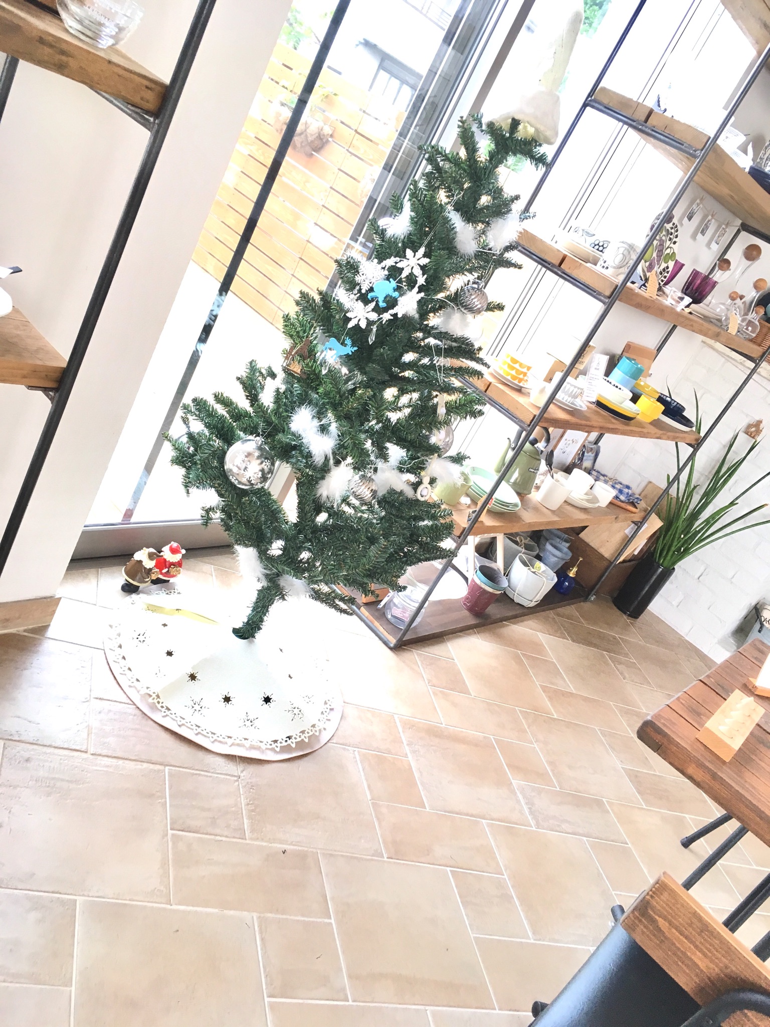 【ついにスタジオにも…♪】クリスマスツリーを飾りました！