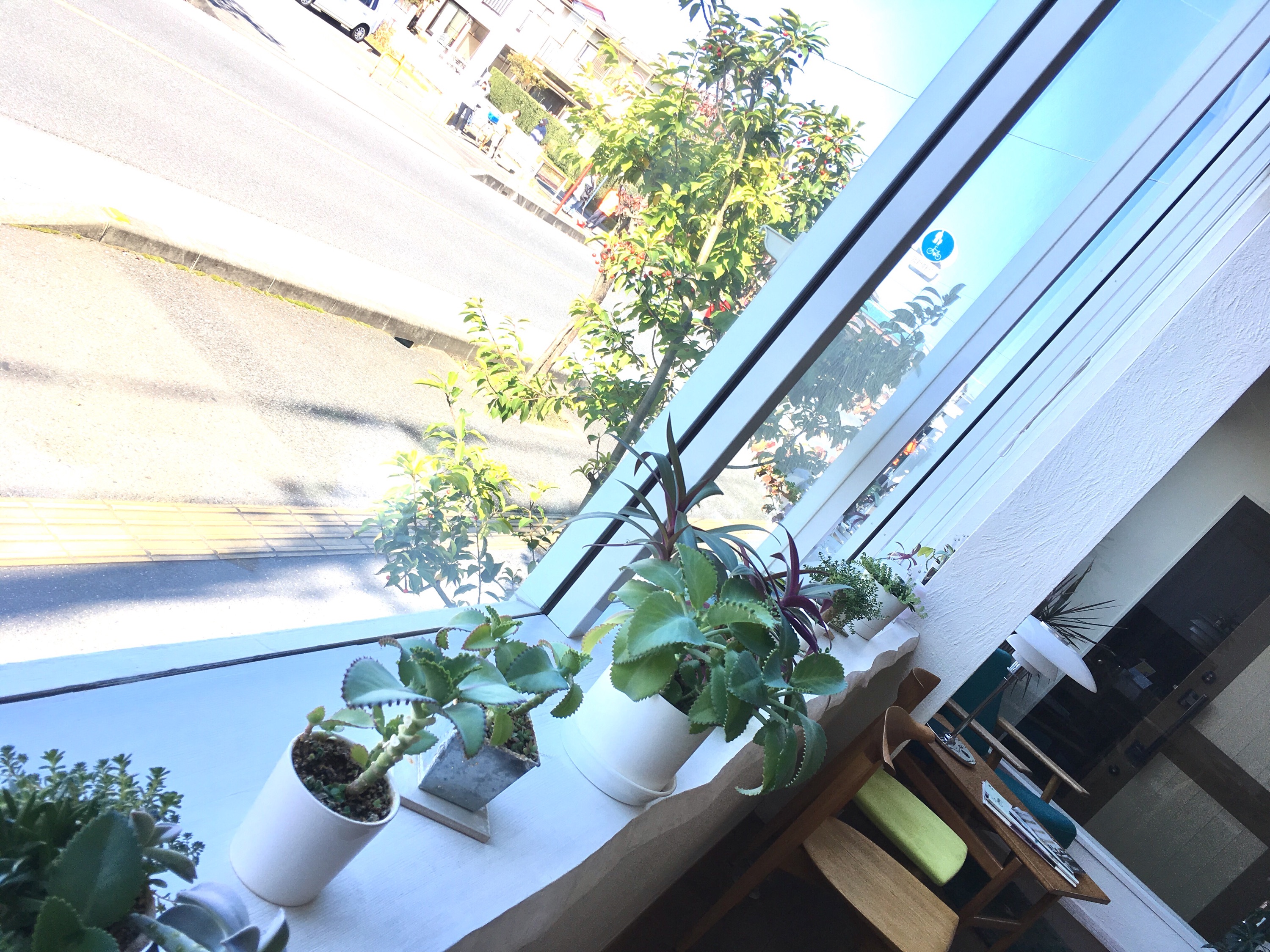 【本日11/3開催】彩の国実業団駅伝＜交通規制にお気を付けを＞