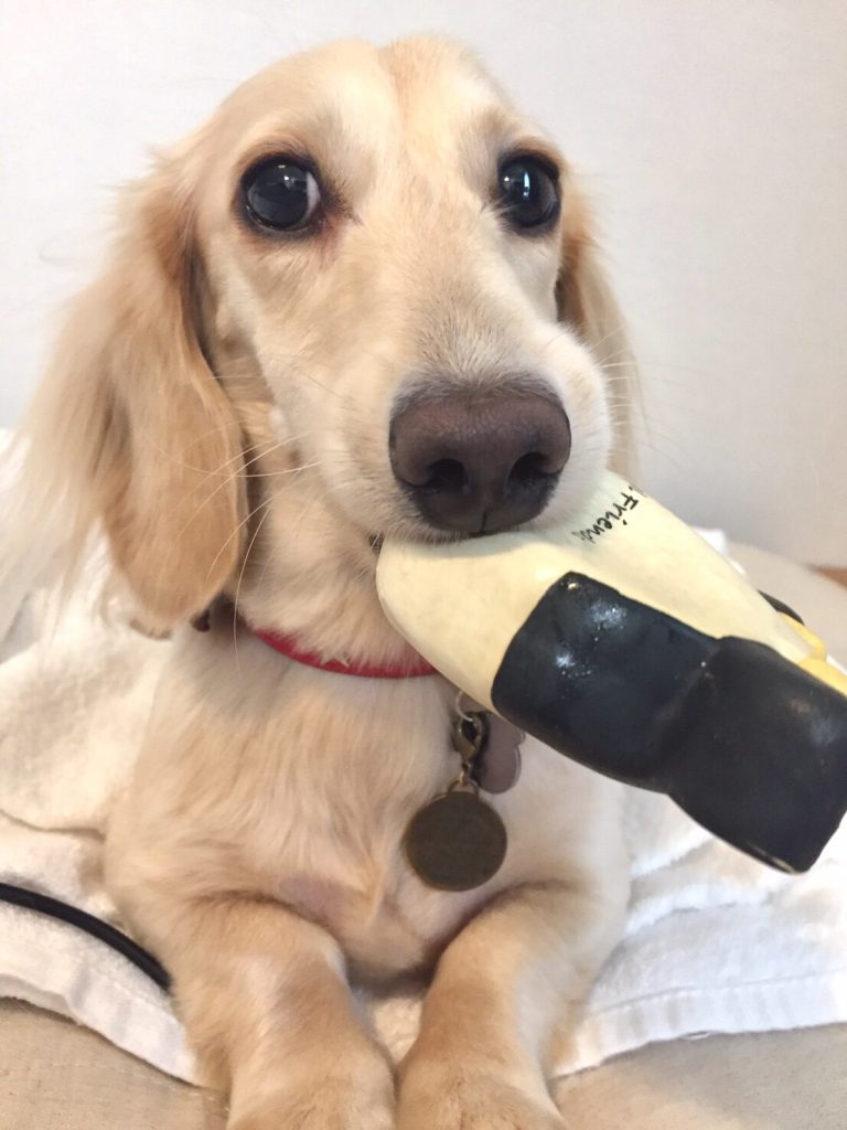 94C90539-0DD6-4E76-8D57-4670EEC462C3