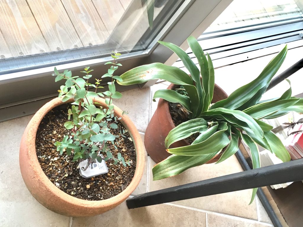 19D64793-341A-4B1D-9AFE-AC97236B7FD5