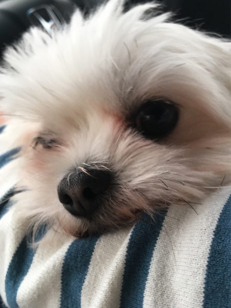 A635BBAC-C628-4B3F-B4F7-FC84746E0D44