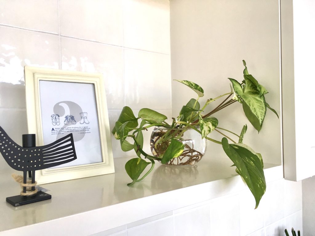 05270A9C-0F54-4010-ADA4-57E6D661A6CD