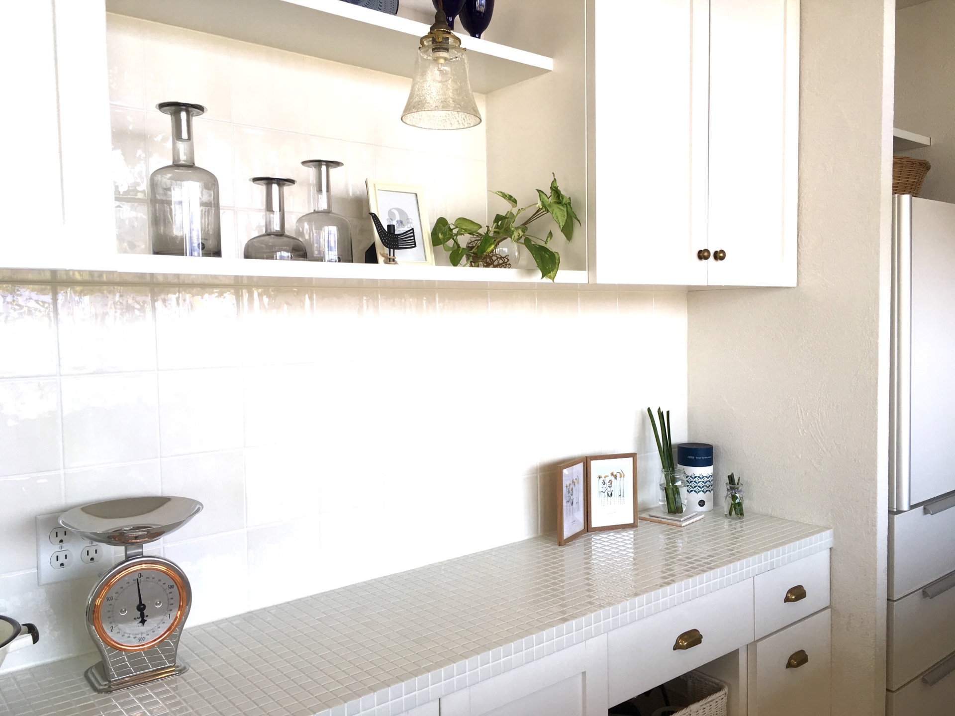 ＜スタジオ＊グリーン＞越谷店からの頂きもの…ポトスと多肉植物のその後