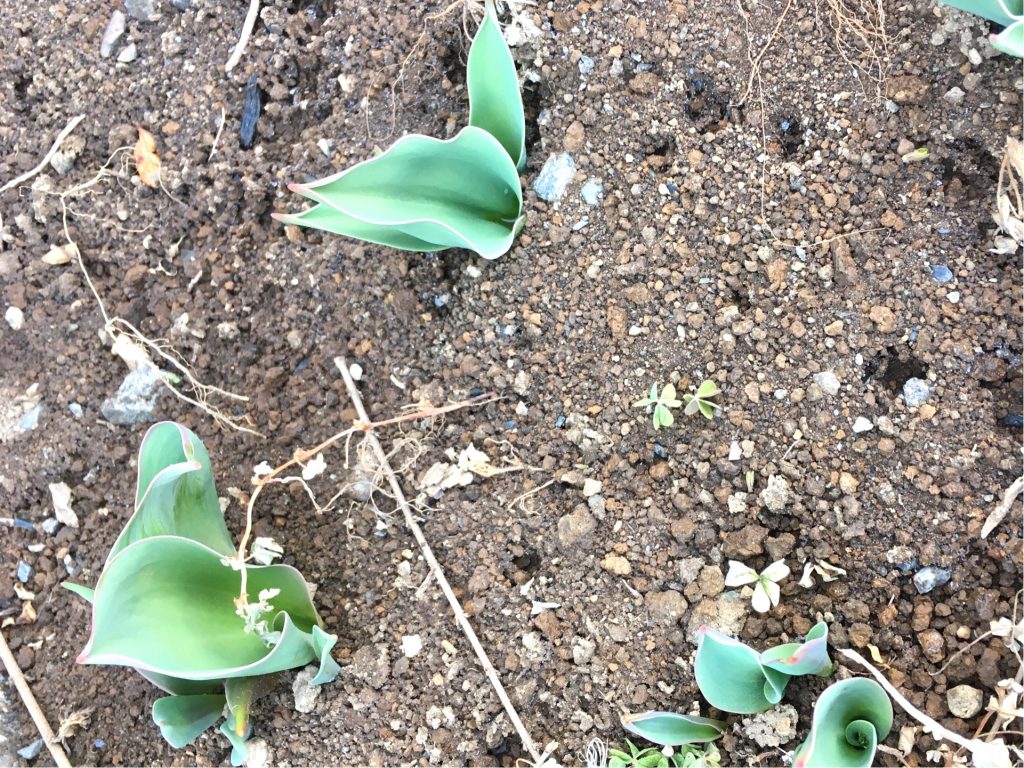 A80897FB-682C-4843-944B-C9BCA6B78DC1