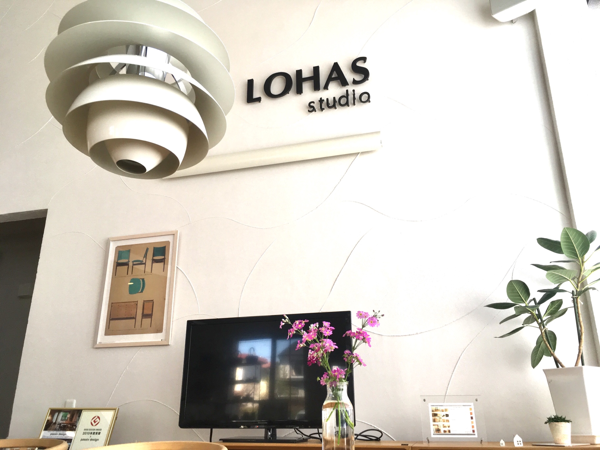 【ついに…!!!】外のチューリップの色が判明しました