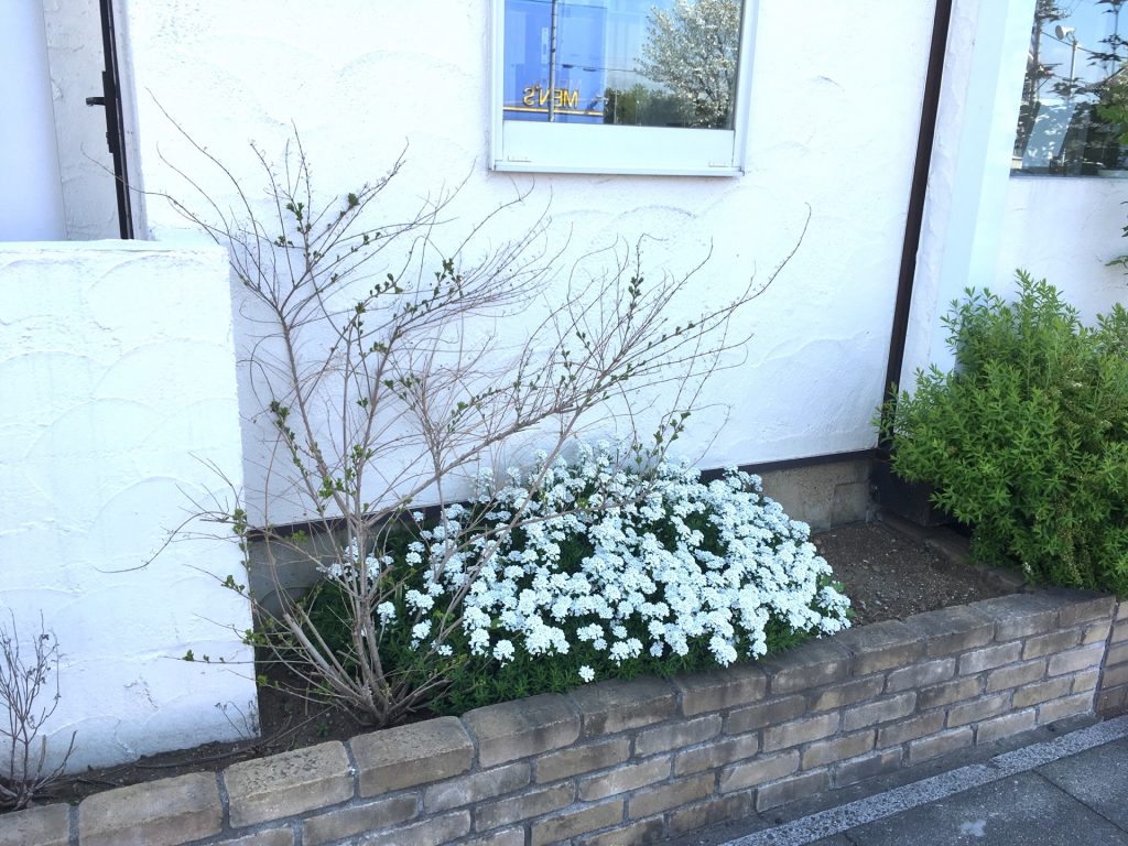 4F02192E-8378-42CF-A16D-80167AE0ADF9