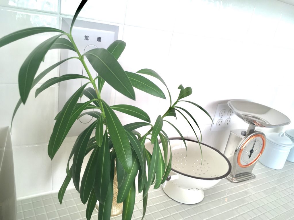 60996B15-5CDF-4E5F-B230-15453F5562AB