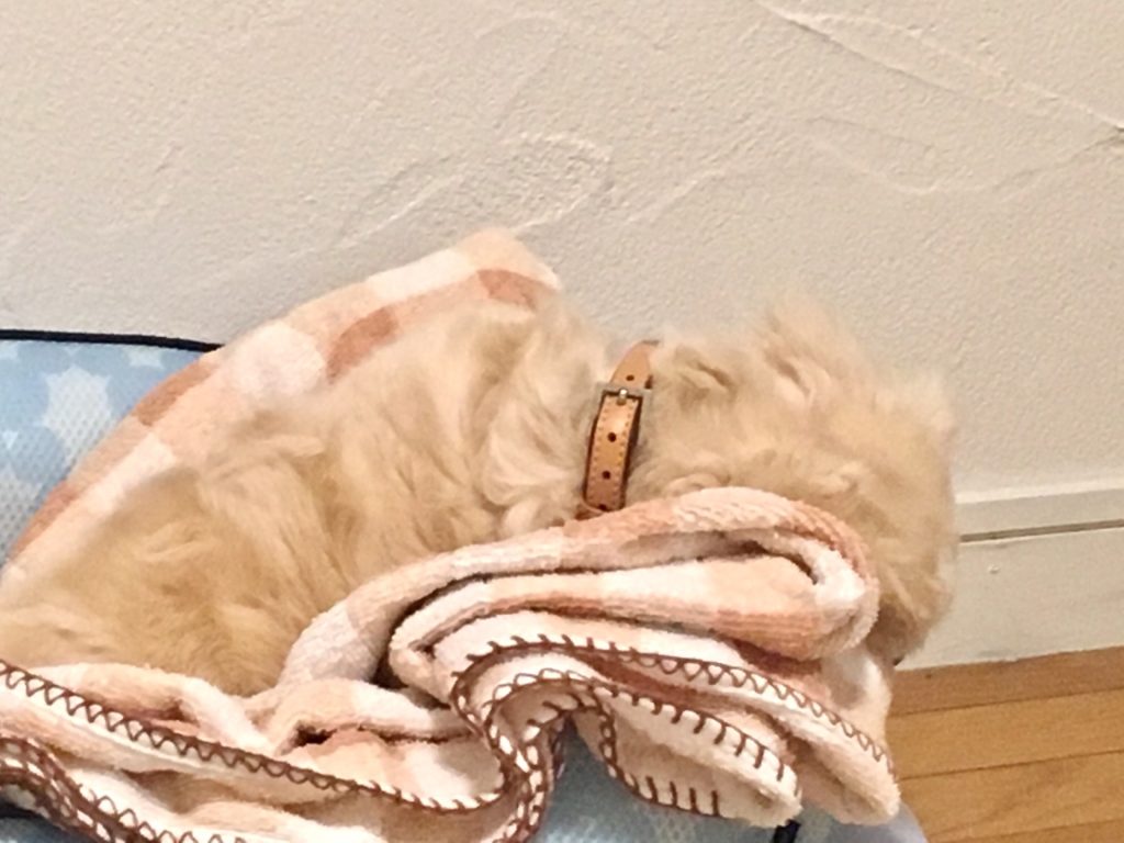 160FF5FC-D135-4CEF-B11A-42E8CC871AB2