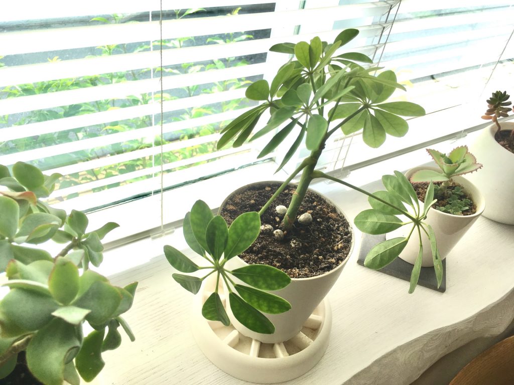 8E2BCE27-EADA-48E5-82C4-EE23478C09FF