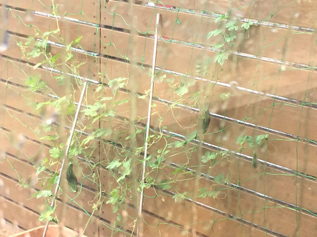 6DFCBC60-81D1-4A09-A041-0CD0465A07B6