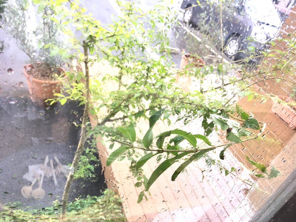 A142BDD8-7817-4E6E-952E-C7A41D53A011