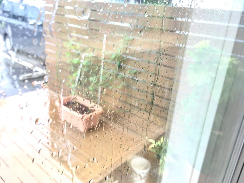 DFEA2379-2D55-4AF0-BB73-C0A102DE0A57