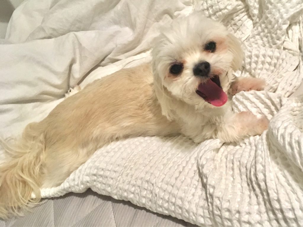 4346D300-5FF2-4991-AE83-A8E40FC80D1C