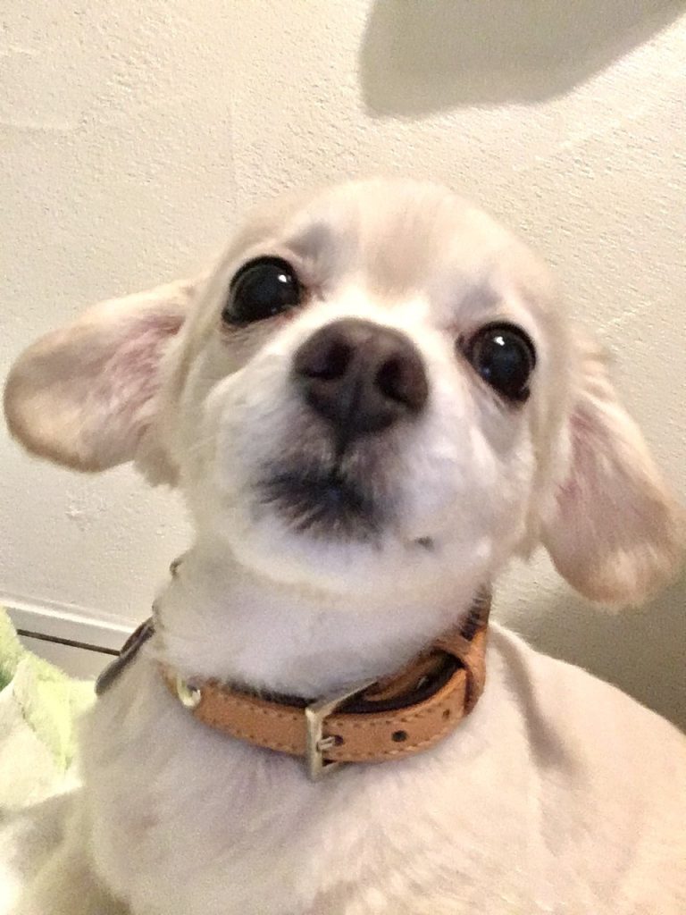 7BE9641E-B386-4BC7-9A37-84C918642736