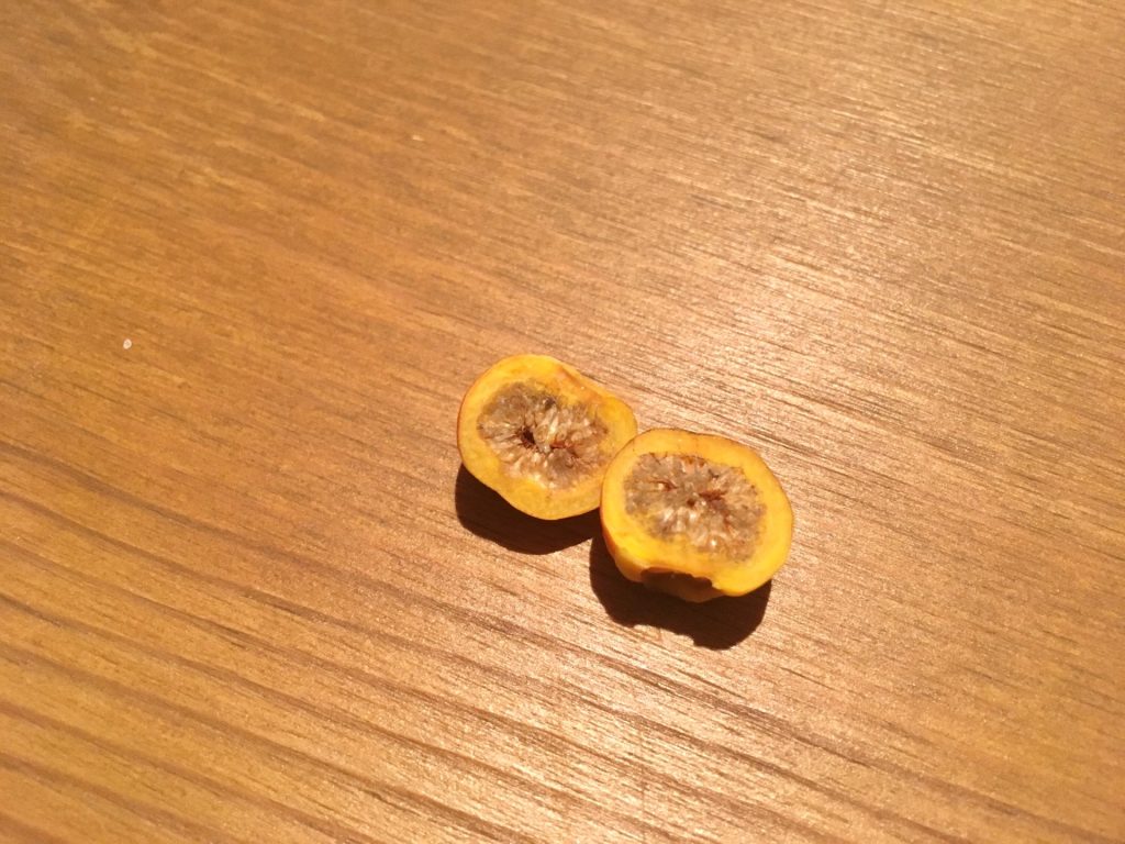 02654409-1EA3-4B8D-AF2E-9C35BBDCD289