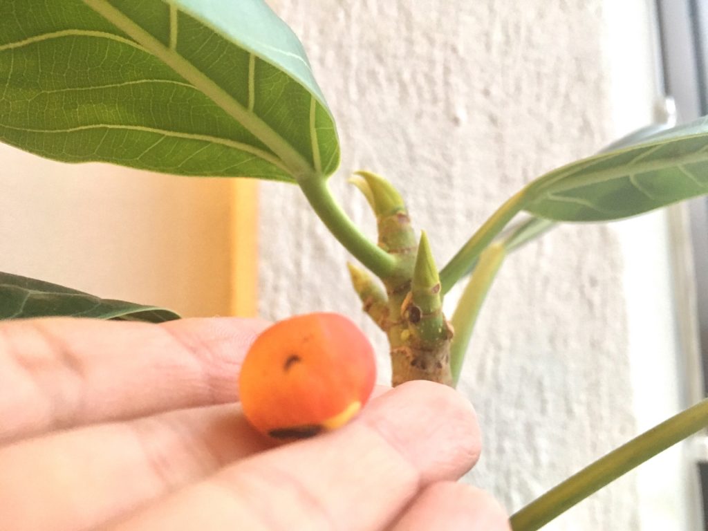 4677D999-F75C-4566-B77D-643BCDD3ABD3