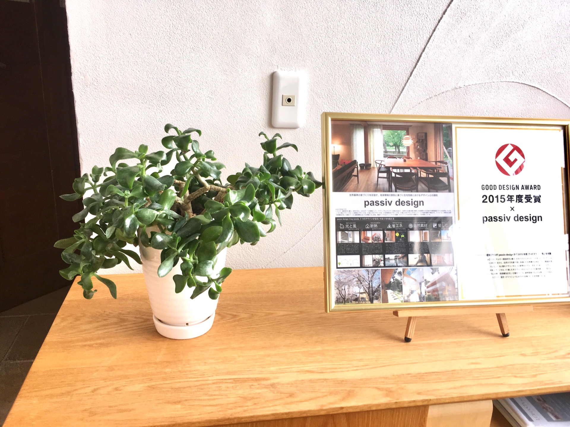 ＜スタジオ＊グリーン＞ぽきっと折れてしまったときは…＊アヒルのくちばしみたいな新芽