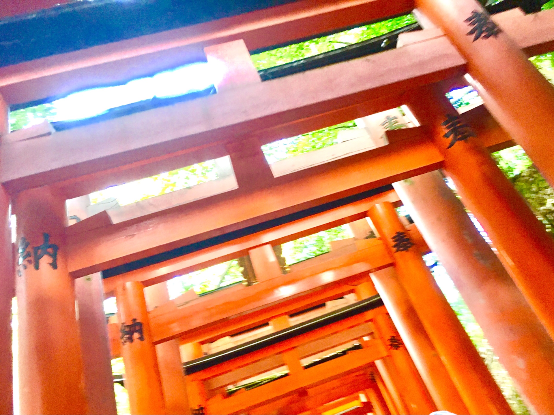 【もうすぐで紅葉シーズン】京都でお寺巡りと舞妓体験をしてきました＊