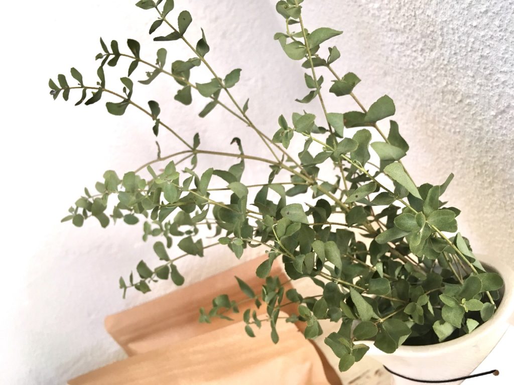 C2B99EFC-C70E-4A54-A470-70C95D0ADBBF