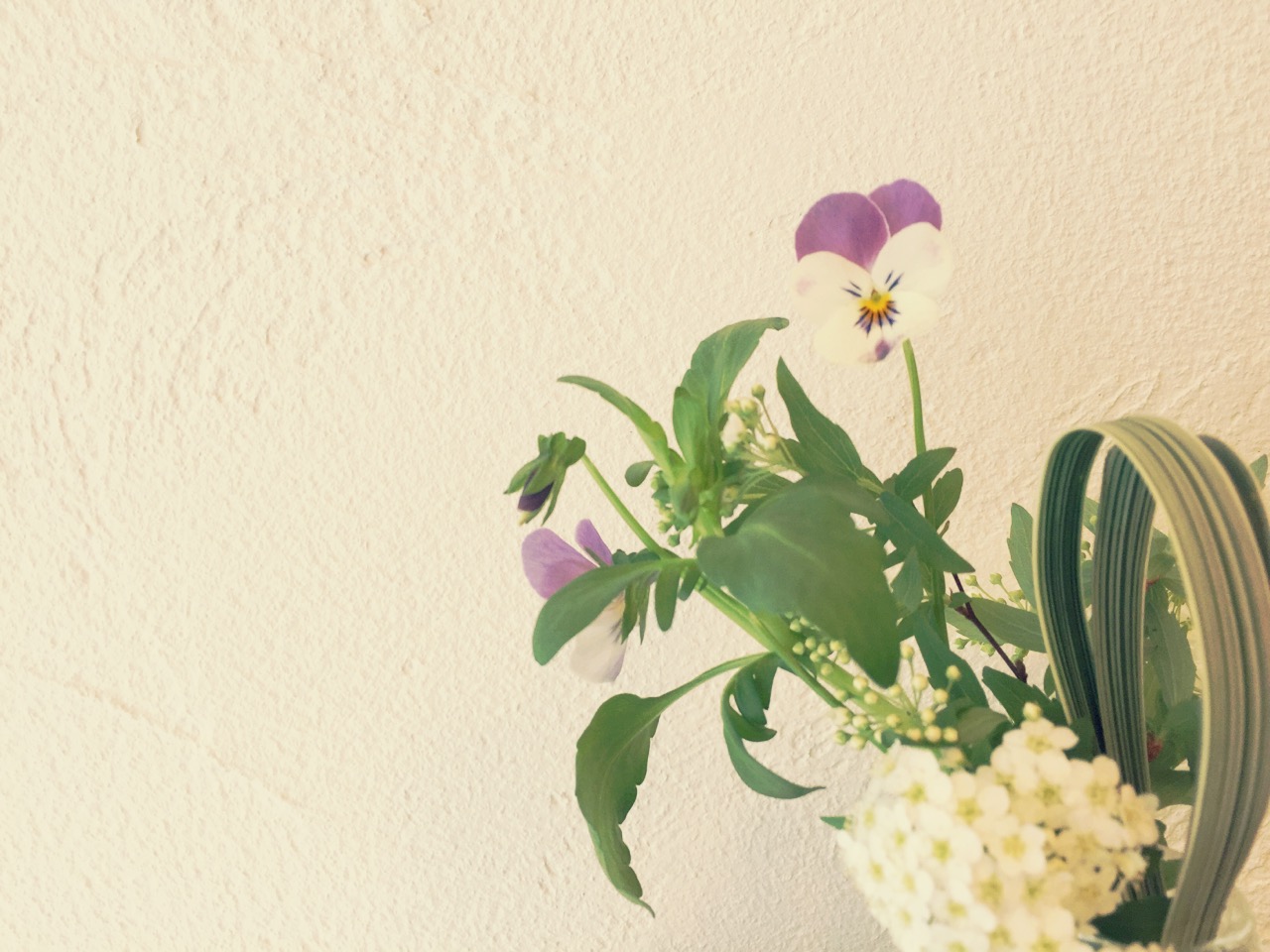 春分の日。スタジオにもちいさな春がやってきました。