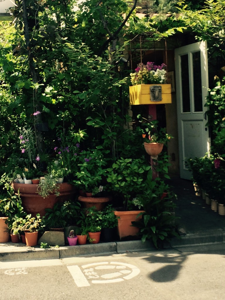 カントリーハーベスト050301