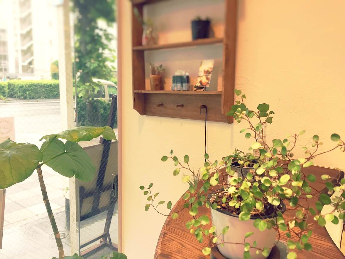 夏のスタジオBGM～世界の車窓から Next Journey～