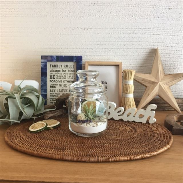 テラリウム_170824_0005_R