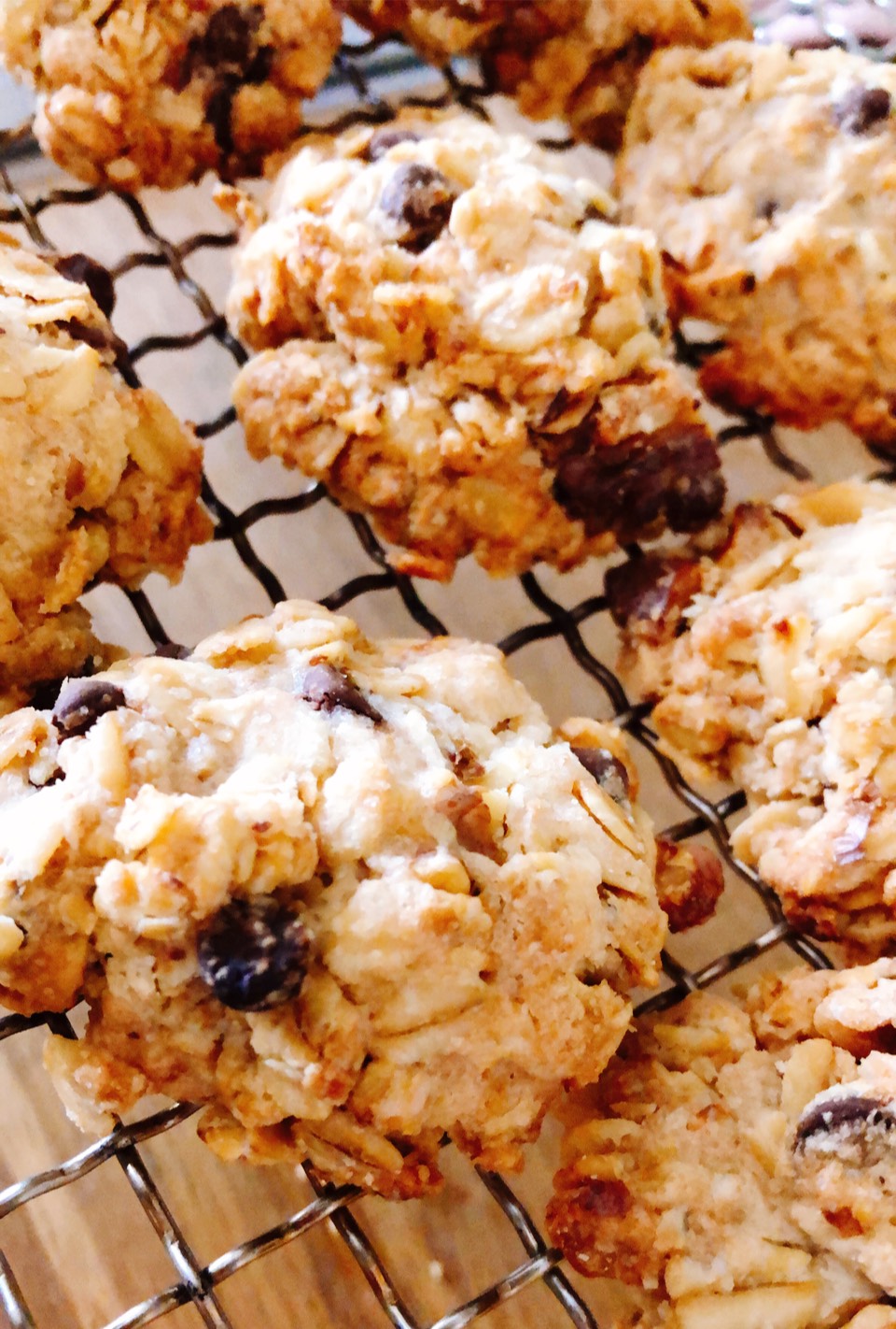 オートミール始めました