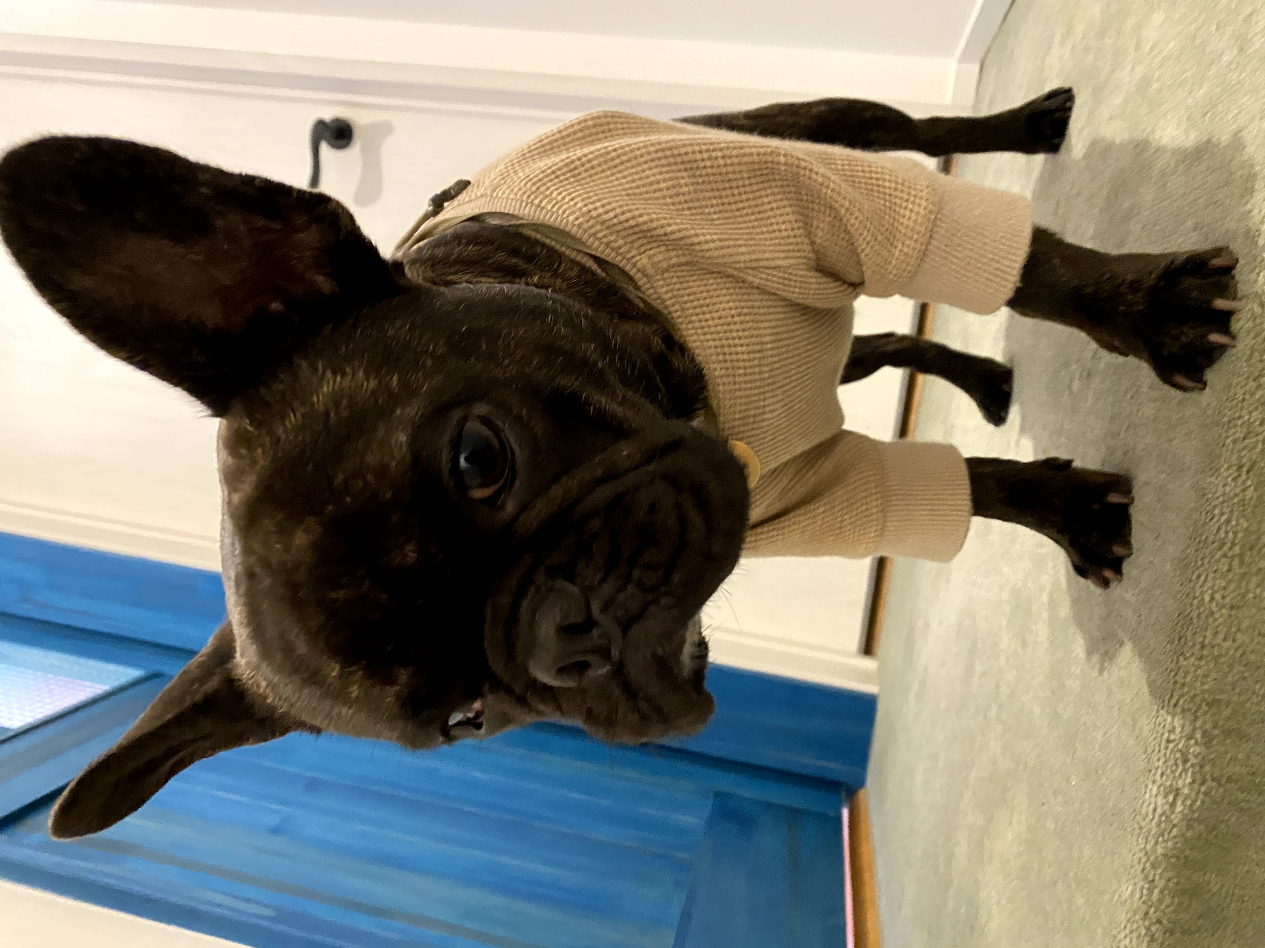 1年点検のお伺い