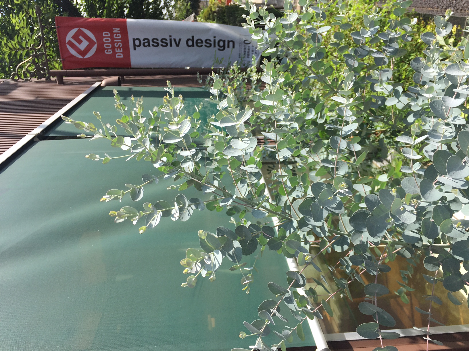 3連休中日です♪