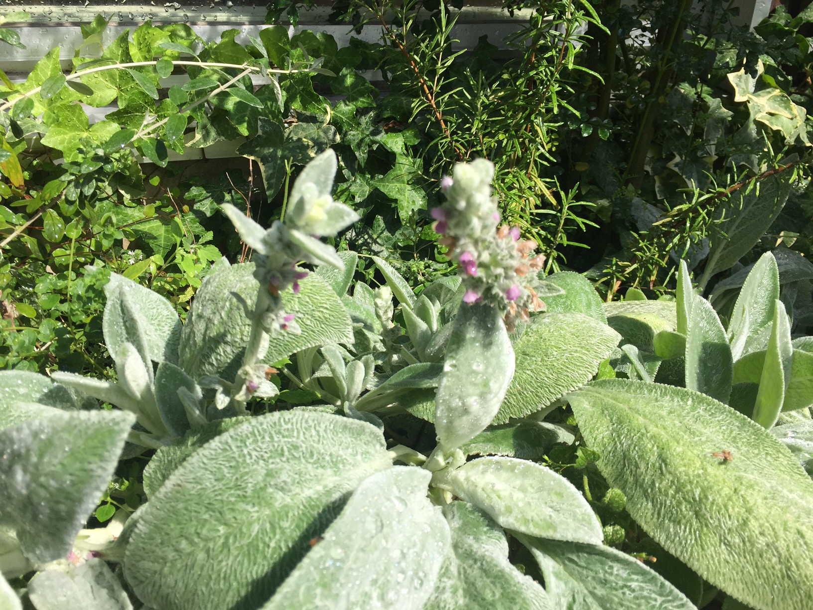 LOHASstudio世田谷～土曜日の朝～