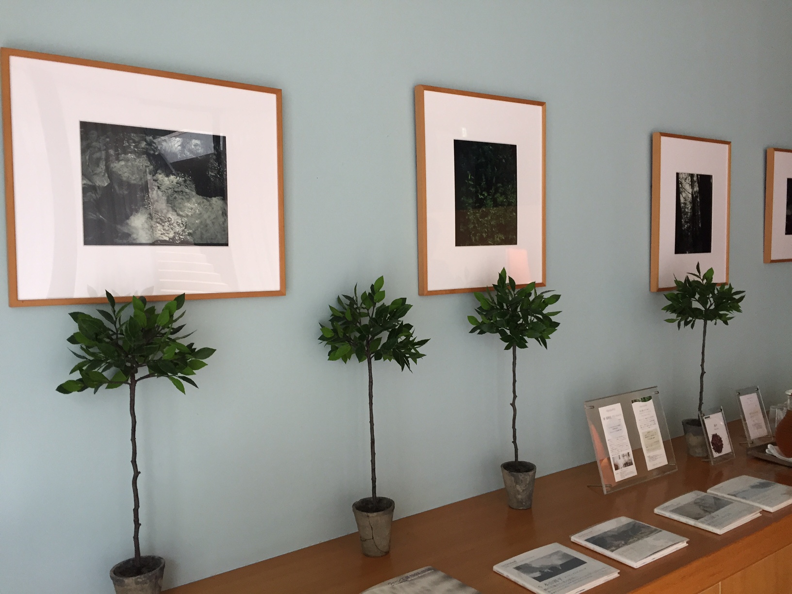 今日は7月最終日です♪